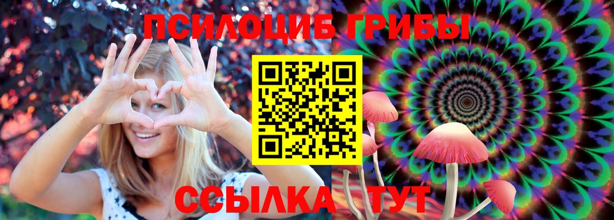 Ефремов  Псилоцибиновые грибы Magic Shrooms  Псилоцибиновые грибы мухоморы  Вход с VPN 